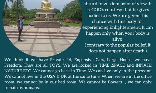 ENJOY LIFE YOU ONLT GET ONE- ABSURD IN WISDOM POINT OF VIEW