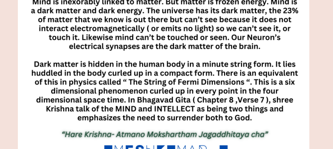 MIND IS DARK MATTER
