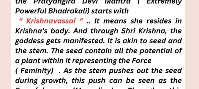 FEMININE AND MASULINE