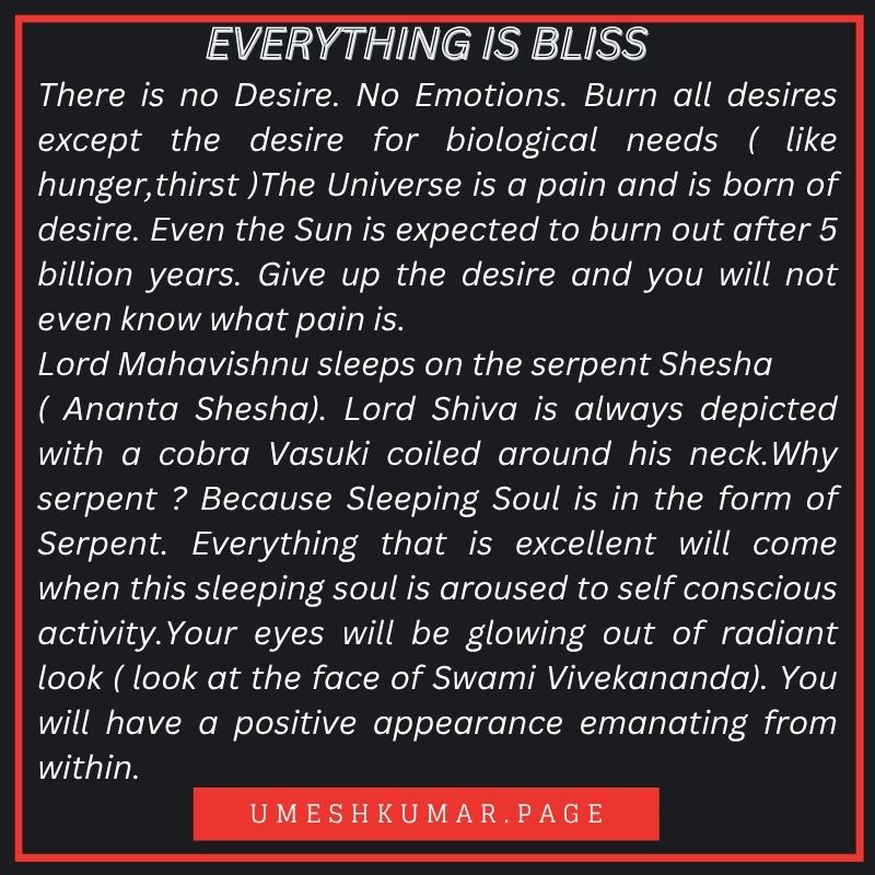 EVERYTHING IS BLISS