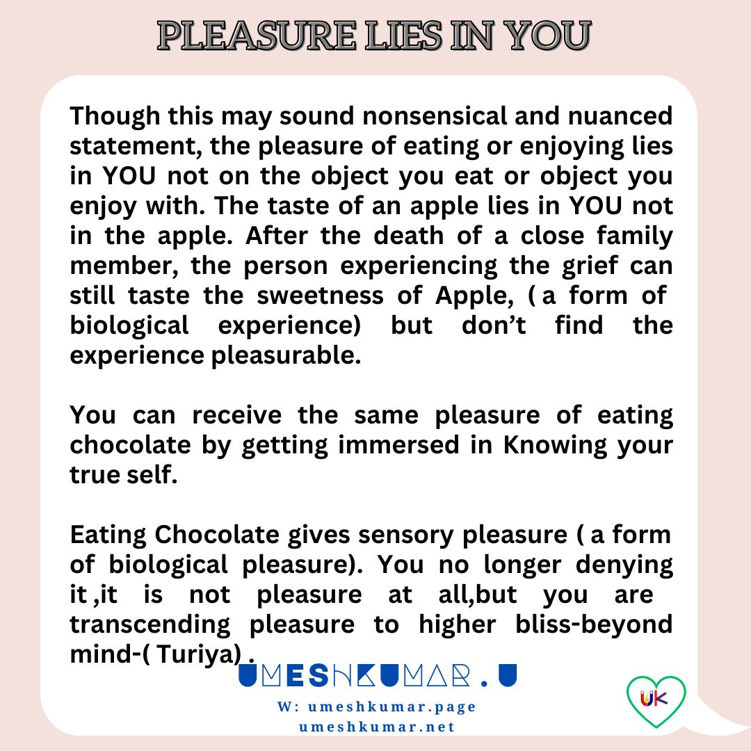 PLEASURE LIES IN YOU PLEASURE LIES IN YOU