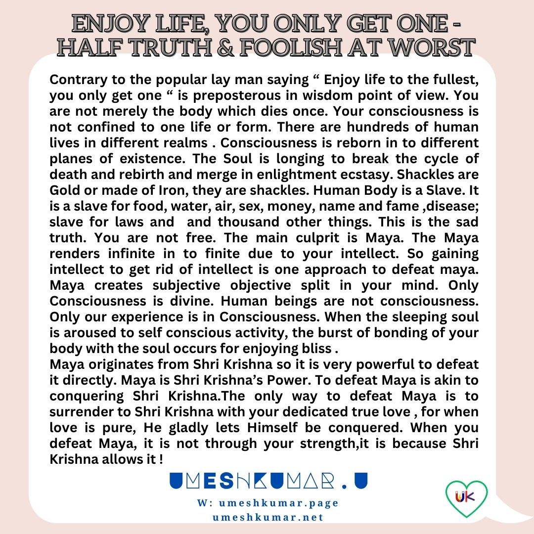 ENJOY LIFE , YOU ONLY GET ONE IS HALF TRUTH AND FOOLISH AT WORST ENJOY LIFE , YOU ONLY GET ONE IS HALF TRUTH AND FOOLISH AT WORST