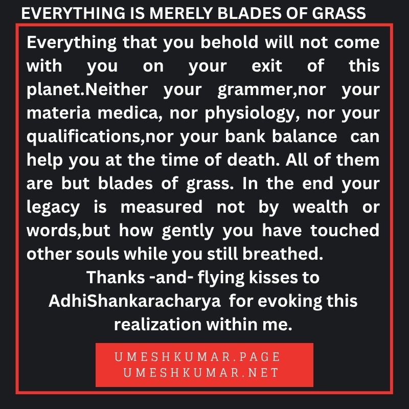 EVERYTHING IS MERELY BLADES OF GRASS EVERYTHING IS MERELY BLADES OF GRASS