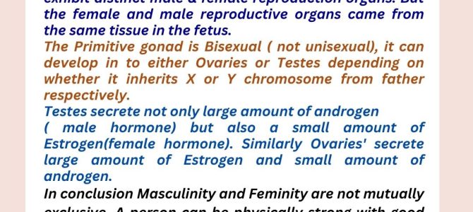 HALF MALE HALF FEMALE