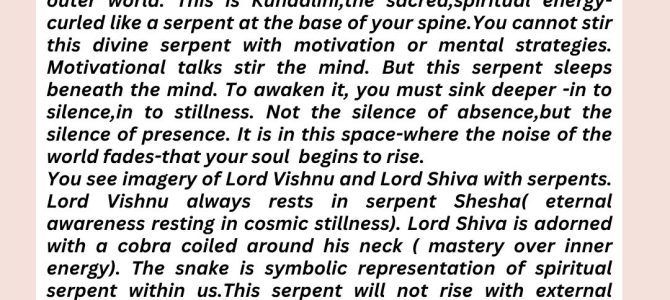 SLEEPING SNAKE AND THE SILENT SOUL