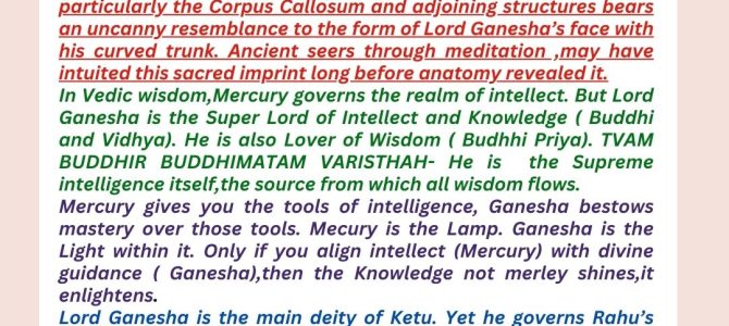 HUMAN BRAIN-LORD GANESHA