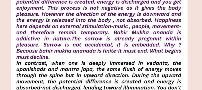 STIMULATION IS NOT JOY- A BHAGAVAD GITA REFLECTION