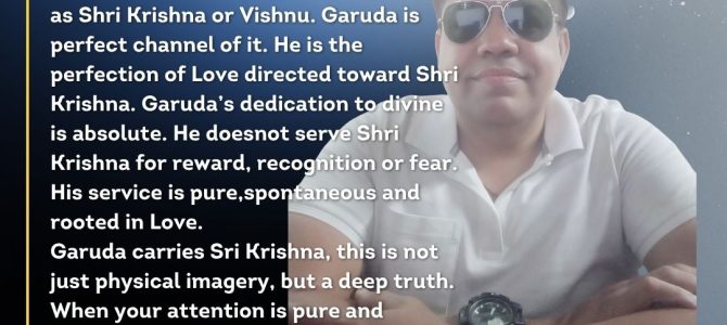 GARUDA VS LOVE