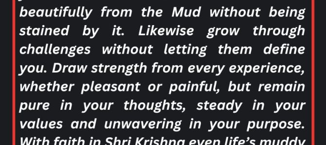 PEOPLE ARE LIKE MUD