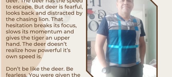DON’T BE LIKE THE DEER
